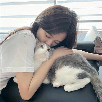 布里斯比熊