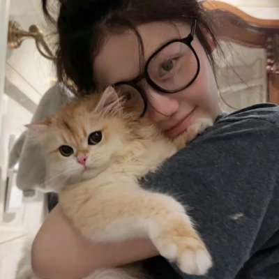 摄影师贝尔蒂与海豚零距离